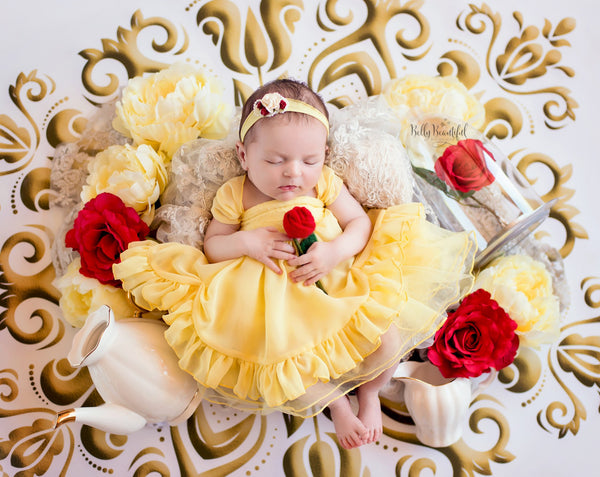 Bae Newborn Princess Dress • Beauty and the Beast Dress • Dream Baby • Princess Baby Dress • Sitter Princess Dress • Princess Newborn Gown • by Sew Trendy