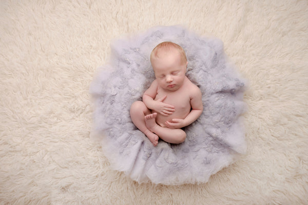 CLEARANCE | Organic Wool Layer • Blue Rain or Ivory • Felted Wool • Newborn Photo Prop | Ready to ship • by Sew Trendy