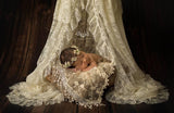 Lace Canopy Photo Prop