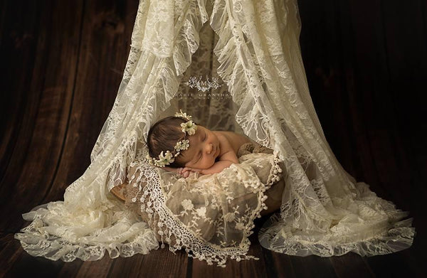Lace Canopy Photo Prop