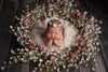 Annaleise Crown • Rhinestone Princess Crown • Photo Prop | Ready To Ship
