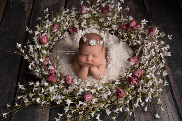 Annaleise Crown • Rhinestone Princess Crown • Photo Prop | Ready To Ship