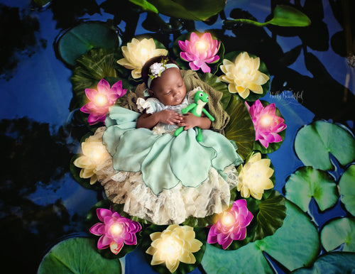 Taiya Newborn Princess Dress • Princess and the Frog Dress • Dream Baby • Princess Baby Dress • Sitter Princess Dress • Princess Newborn Gown • by Sew Trendy