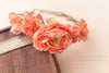 Evelyn Floral Crown • Natural Flower Crown • Grapevine Floral Headband • Wedding Headpiece • Maternity Crown • Flower Girl  | Ready To Ship • by Sew Trendy