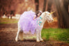 Isabel Tutu • Girls Couture Tutu • Flower Girl dress • Extra Full Tutu • by Sew Trendy