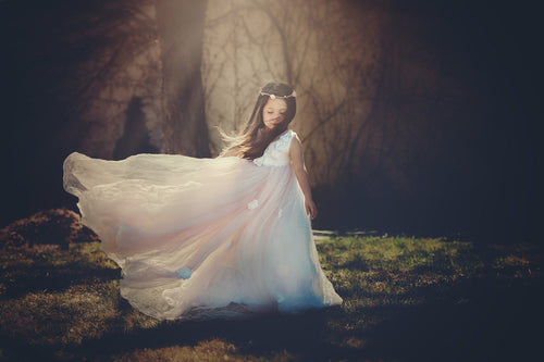 Maryn Gown • Girls Crushed Tulle Tutu • Princess Gown • Party Dress