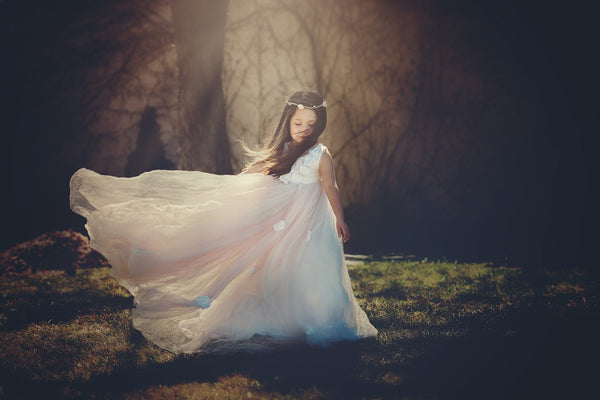 Maryn Gown • Girls Crushed Tulle Tutu • Princess Gown • Party Dress