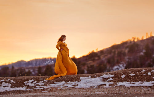 Erin Gown • Long Flowing Chiffon Gown • Off the Shoulder Long Sleeve Sheer Chiffon Straight Top Maternity Gown • by Sew Trendy