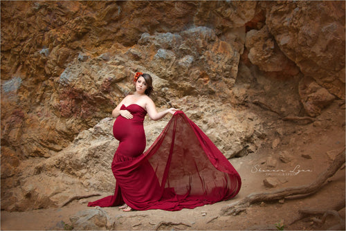 USED Small Angela Gown • Slim Fit Gown • Mermaid Style Maternity Gown • Sheer Maternity Gown •  Maternity Photo Shoot Gown • Event Gown • Wedding Dress