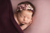 RTS: NEWBORN BEANBAG BACKDROP • Stretch Knit Backdrop • Photography Backdrop • Baby Photography Backdrop • Stretchy Knit Backdrop • Newborn Photo Prop | Ready To Ship • by Sew Trendy