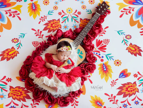 Alanna Newborn Princess Dress • Elena of Avalor Style Newborn Dress • Dream Baby • Latin Princess Baby Dress • Sitter Princess Dress • Princess Newborn Gown • by Sew Trendy