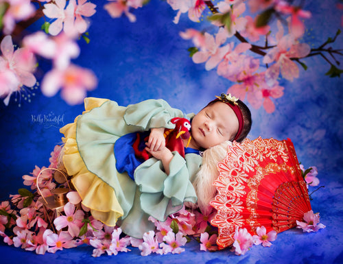 Lien Newborn Princess Dress • Mulan Style Newborn Dress • Dream Baby • Princess Baby Dress • Sitter Princess Dress • Princess Newborn Gown • by Sew Trendy